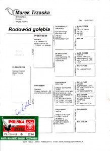 RODOWOD PL-0264-12-2296