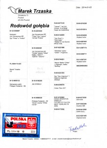 RODOWOD PL-0264-13-223